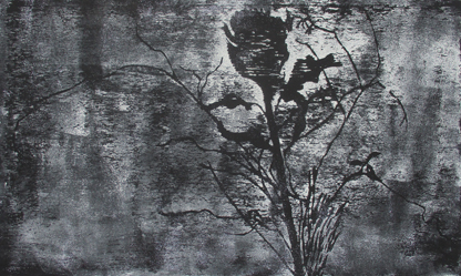 SCHWANITZ